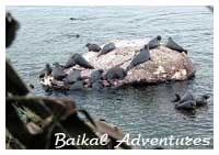 Baikal reserved places 