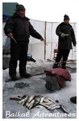 Baikal ice fishing